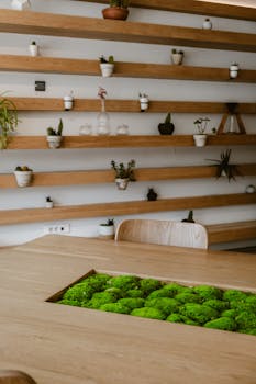 Plants on Table and on Shelves in Room